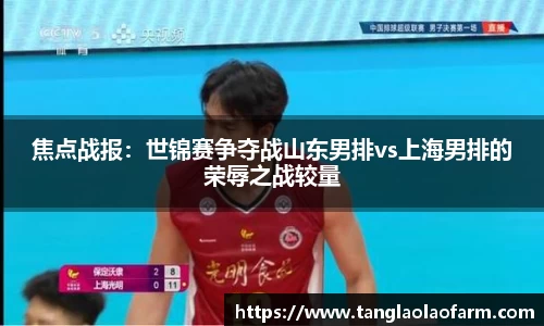 焦点战报：世锦赛争夺战山东男排vs上海男排的荣辱之战较量