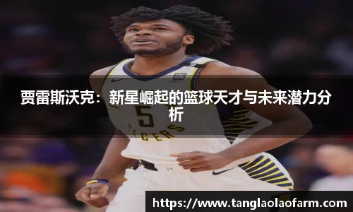 雷火竞技