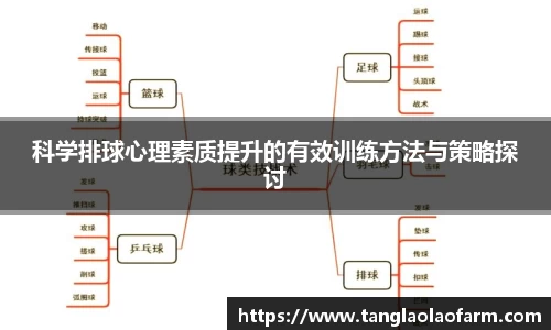科学排球心理素质提升的有效训练方法与策略探讨